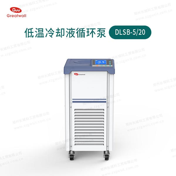DLSB-5/20低溫冷卻液循環泵（-20℃~25℃）